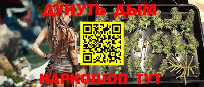 мдпв Обь