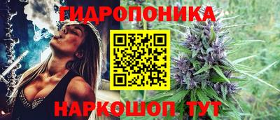 мдпв Обь