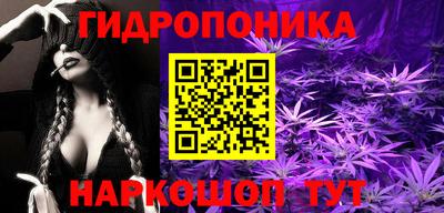 мдпв Обь