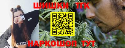 мдпв Обь