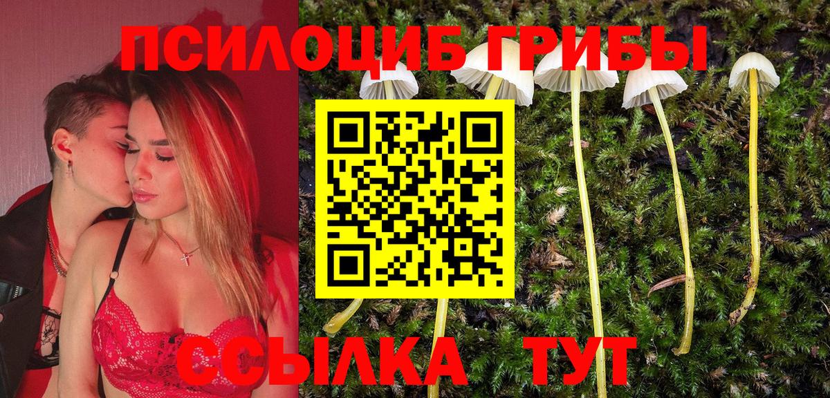 Галлюциногенные грибы ЛСД Шали